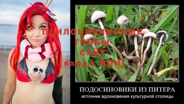 а пвп мука Гусь-Хрустальный