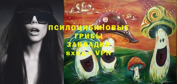 а пвп мука Гусь-Хрустальный