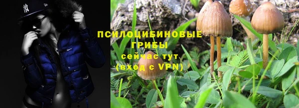 а пвп мука Гусь-Хрустальный