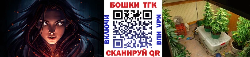 МАРИХУАНА план  Владикавказ 